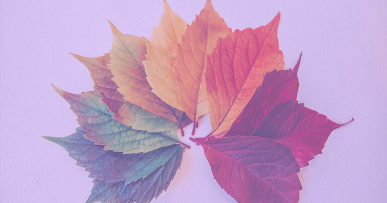 Seasonal Impacts on Energy Efficiency