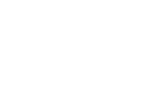 Indra Energy Logo